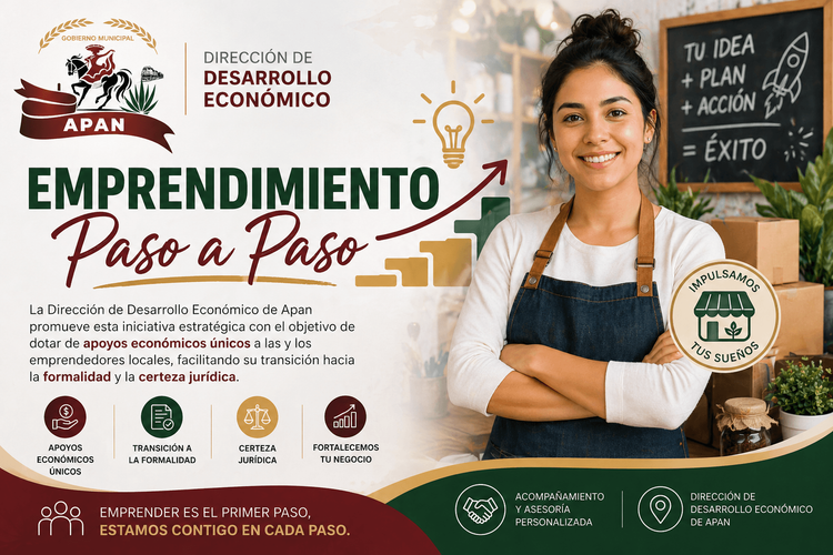 Emprendimiento Paso a Paso